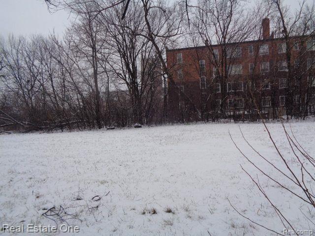 2691 ROCHESTER Street, Detroit, MI 48206 — Photo 12