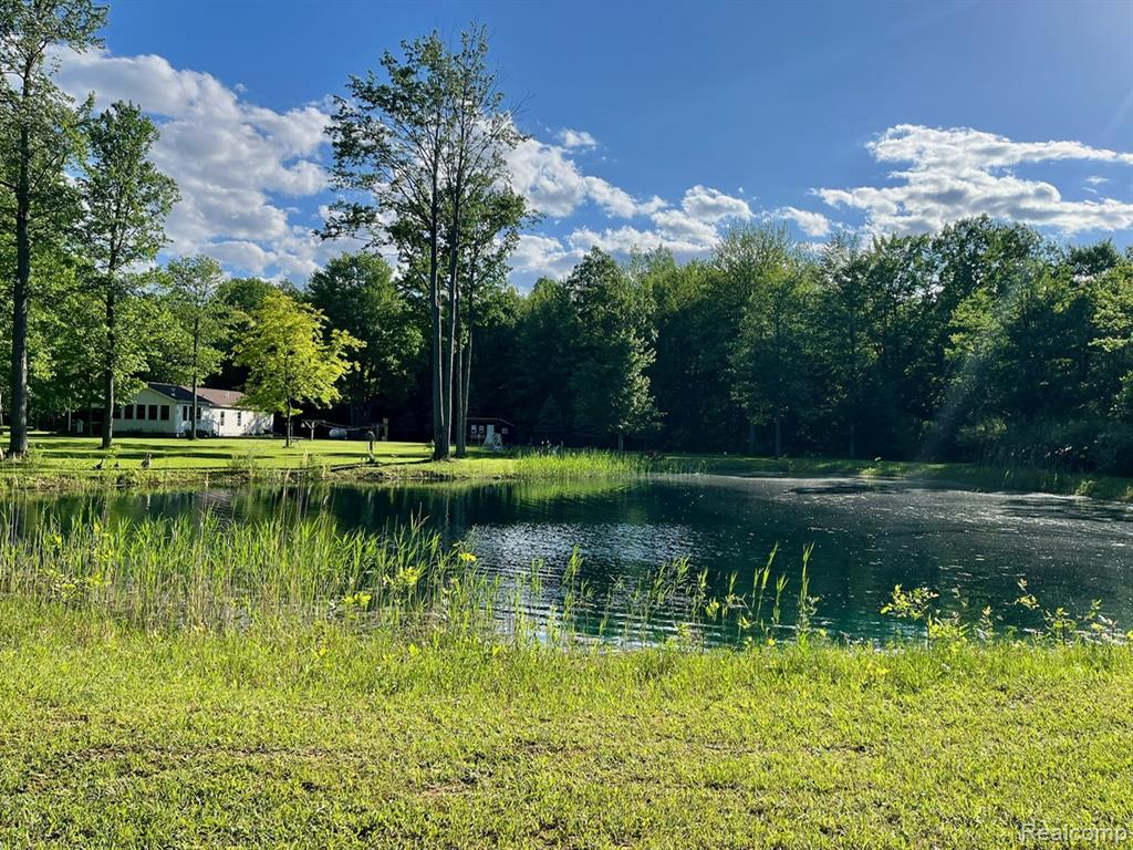 2829 Mushroom Road, Caro, MI 48723 — Photo 27