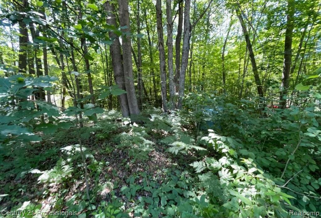 Lot 789 Redwine Drive, Houghton Lake, MI 48653 — Photo 5