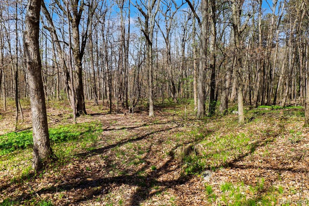 8815 Milford Road, Holly, MI 48442 — Photo 11