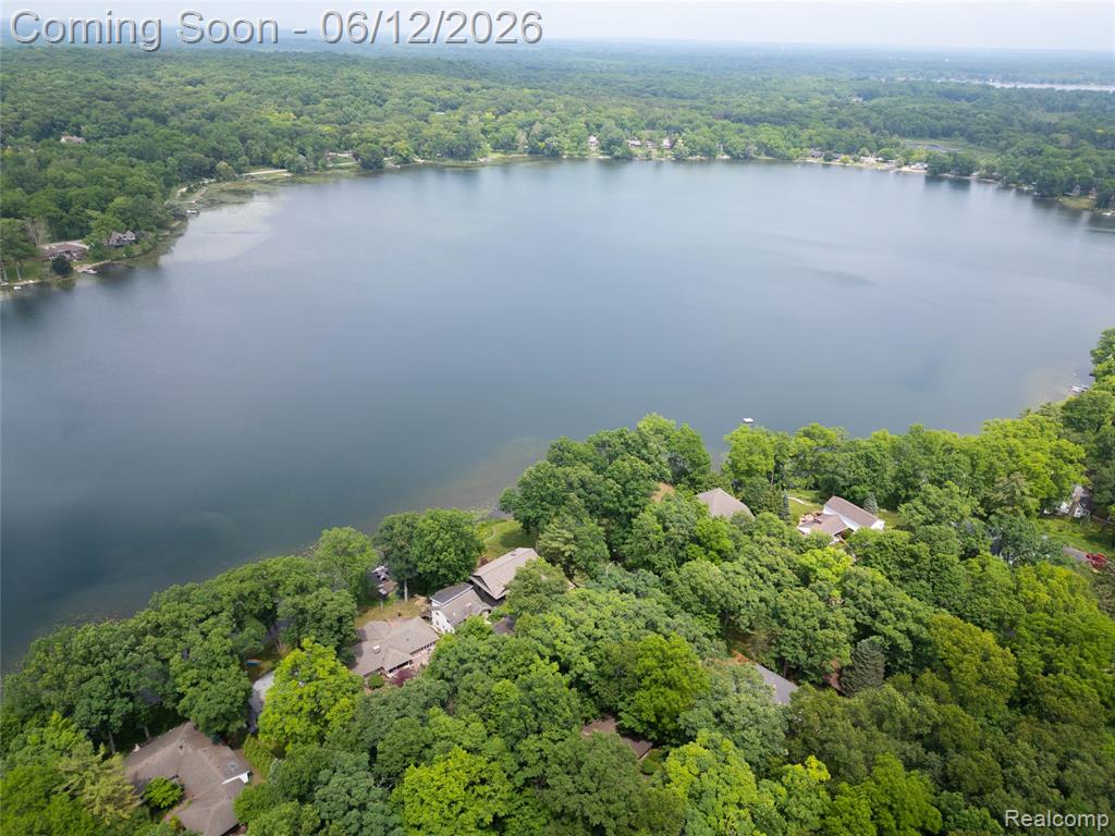 5831 Winans Drive, Brighton, MI 48116 — Photo 44