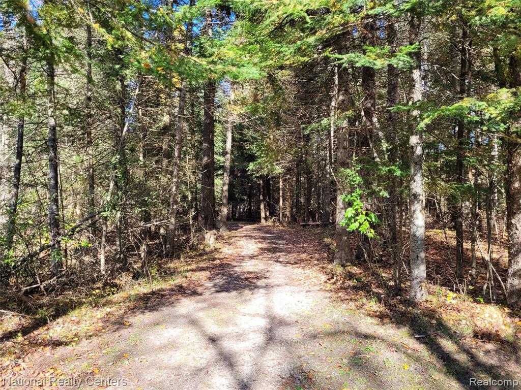 8109 M 55, Whittemore, MI 48770 — Photo 8