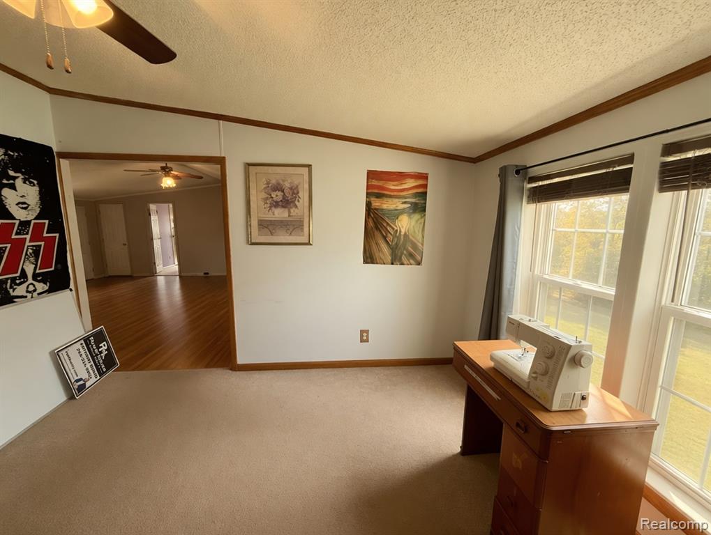 6988 Mckean, Ypsilanti, MI 48197 — Photo 8