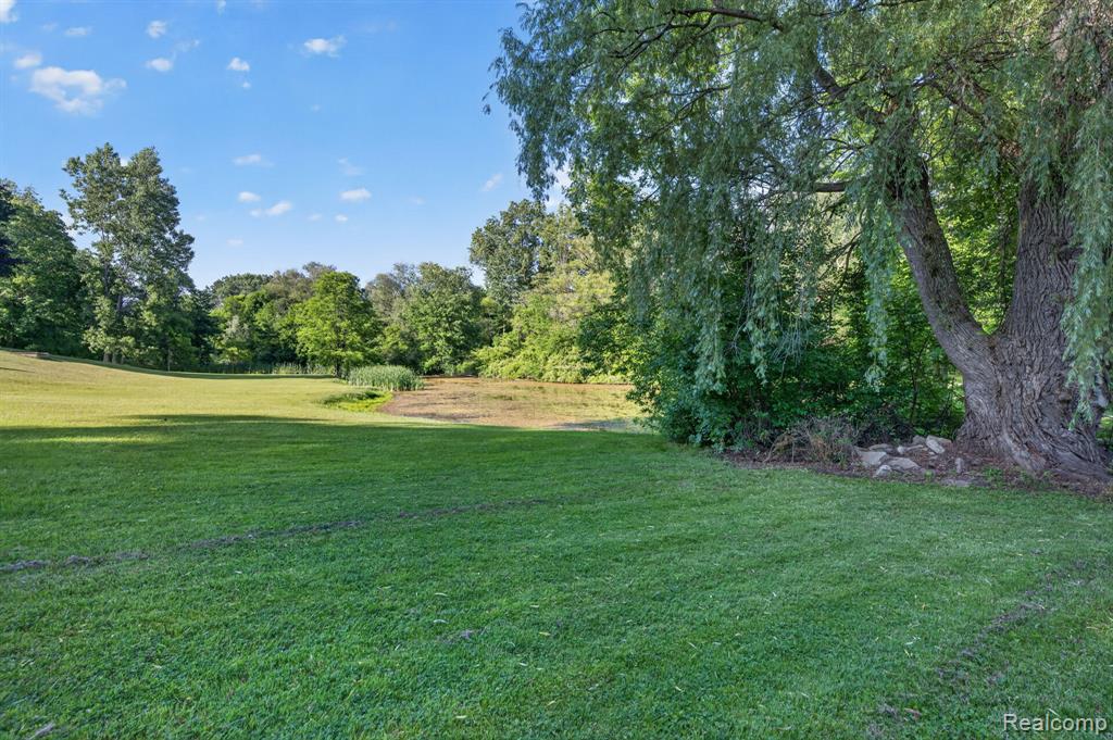 11035 White Oak Drive, Clio, MI 48420 — Photo 54