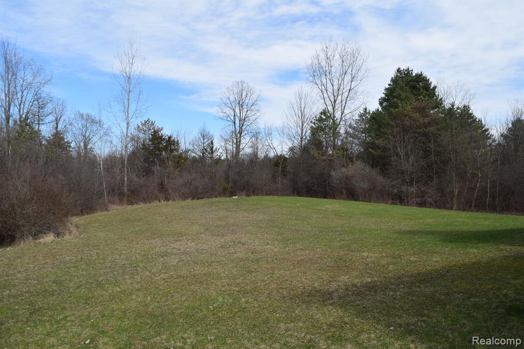 4440 N ELMS Road, Flushing, MI 48433 — Photo 26