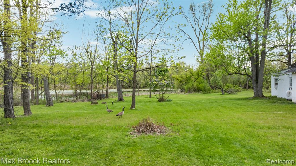 4769 Halsted Road, West Bloomfield, MI 48323 — Photo 11
