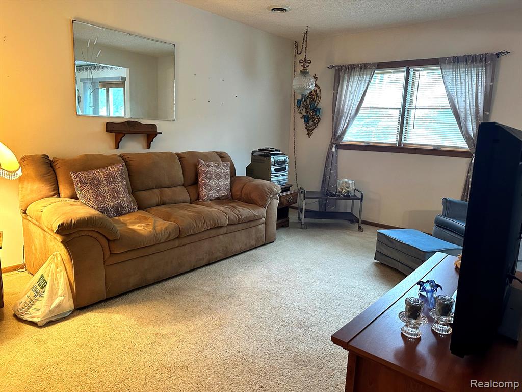 6111 5TH Street, Mayville Vlg, MI 48744 — Photo 6