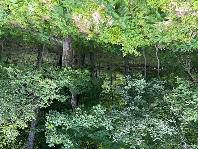 Parcel A Lake Bluff Drive, Arcadia, MI 49613 — Photo 3