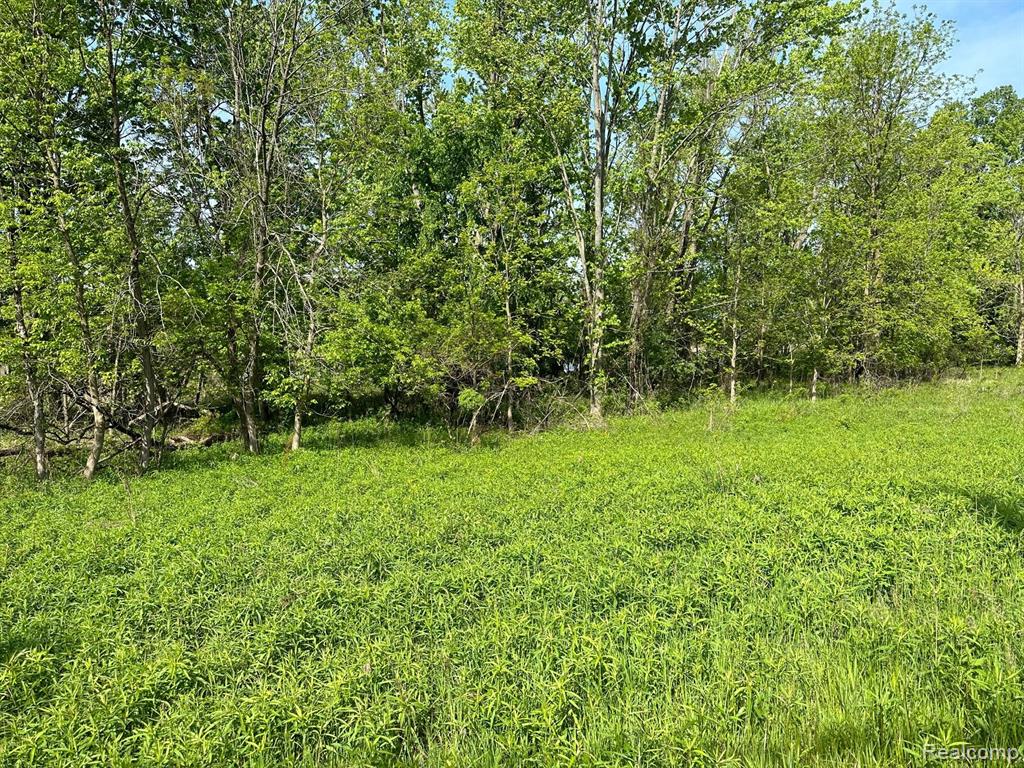 D N Holly, Holly, MI 48442 — Photo 19