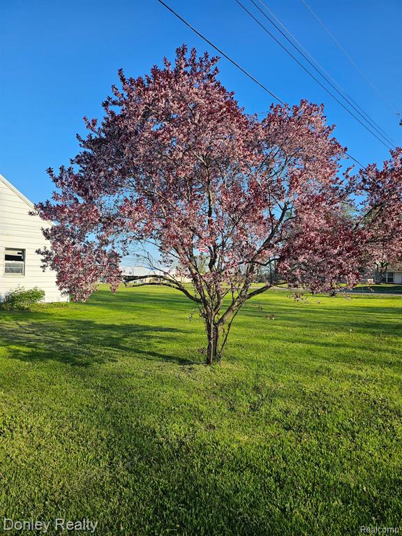 2465 S VAN DYKE Road, Marlette, MI 48453 — Photo 14