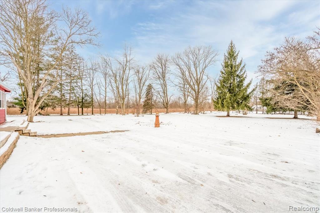 10485 Willis Road, Willis, MI 48191 — Photo 4