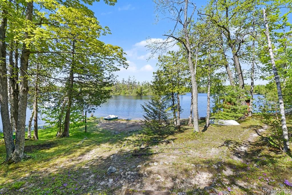 9516 E Gaylanta Drive, Atlanta, MI 49709 — Photo 35