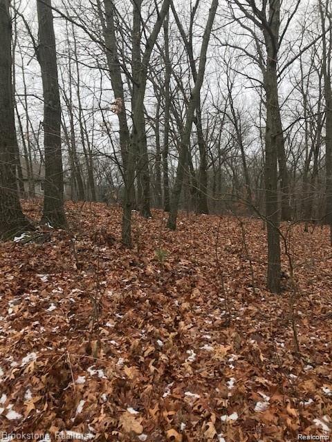 VL Oak Hollow Drive, Holly, MI 48442 — Photo 7