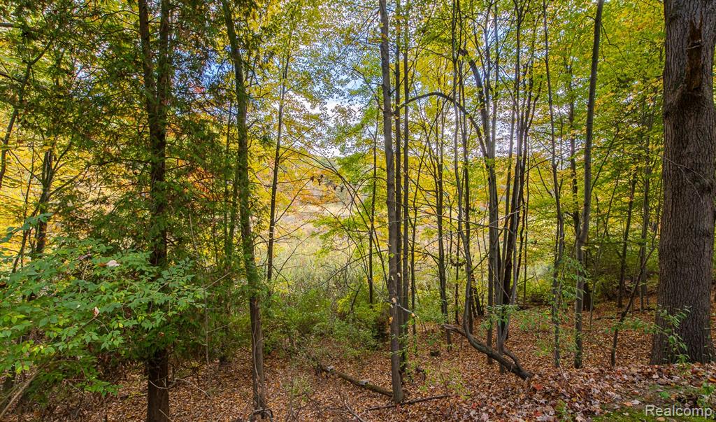 1969 Woodsman Drive, Ortonville, MI 48462 — Photo 54