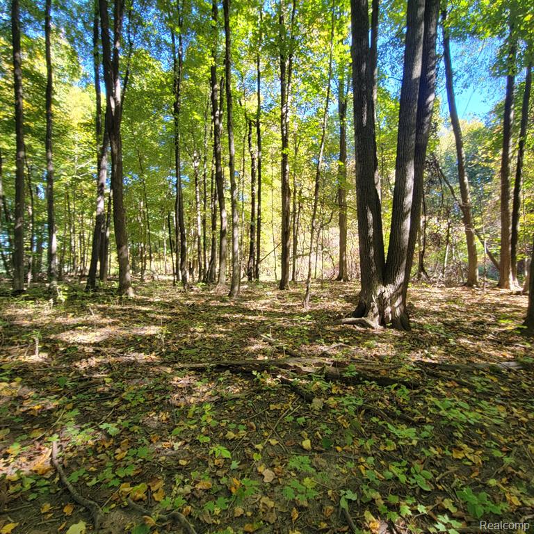 5782 LYONS Road, Imlay City, MI 48444 — Photo 30
