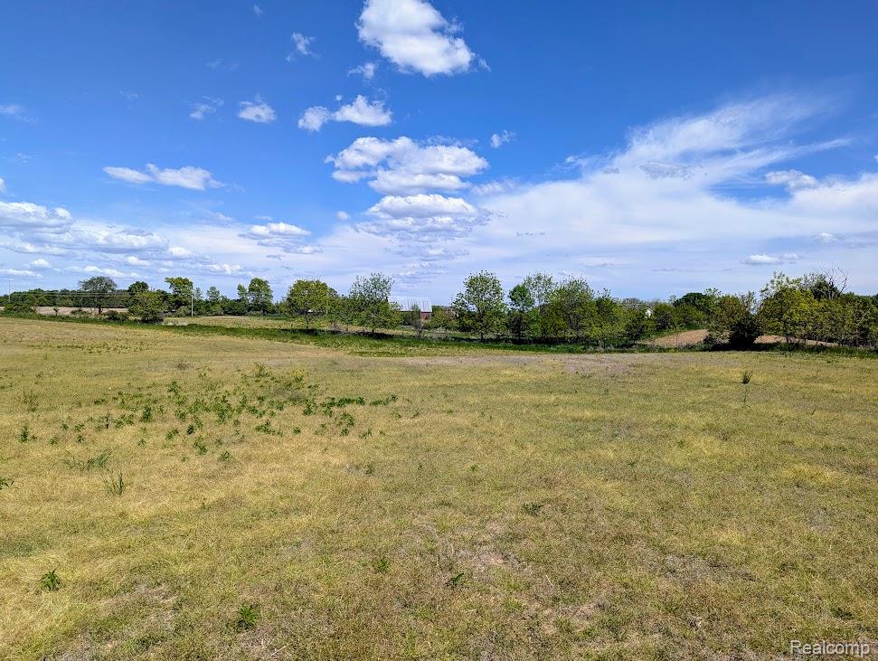 Parcel D - Hogan Road, Linden, MI 48451 — Photo 9