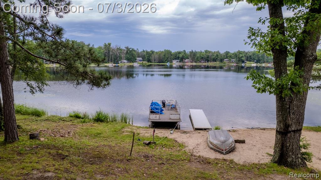 8272 Paradise Drive, South Branch, MI 48761 — Photo 54