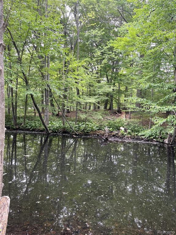 4651 Eddystone Circle, Clarkston, MI — Photo 63