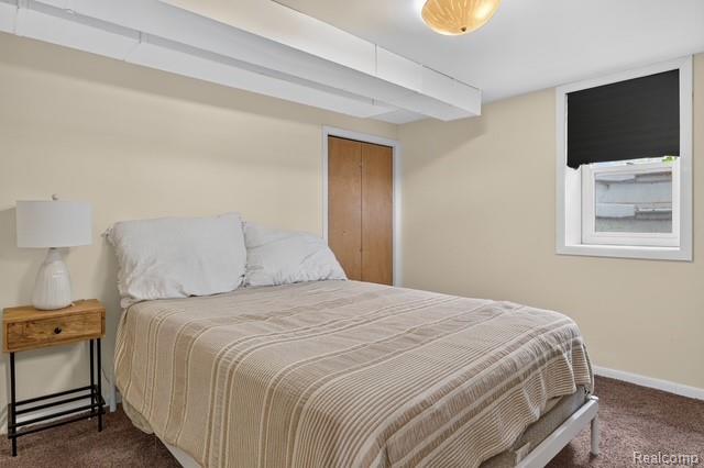 921 Raymond Street, Ann Arbor, MI 48103 — Photo 37
