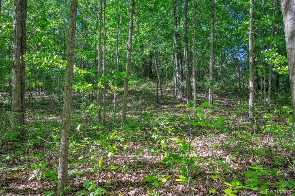 6250 Stine Road, Imlay City, MI 48444 — Photo 68