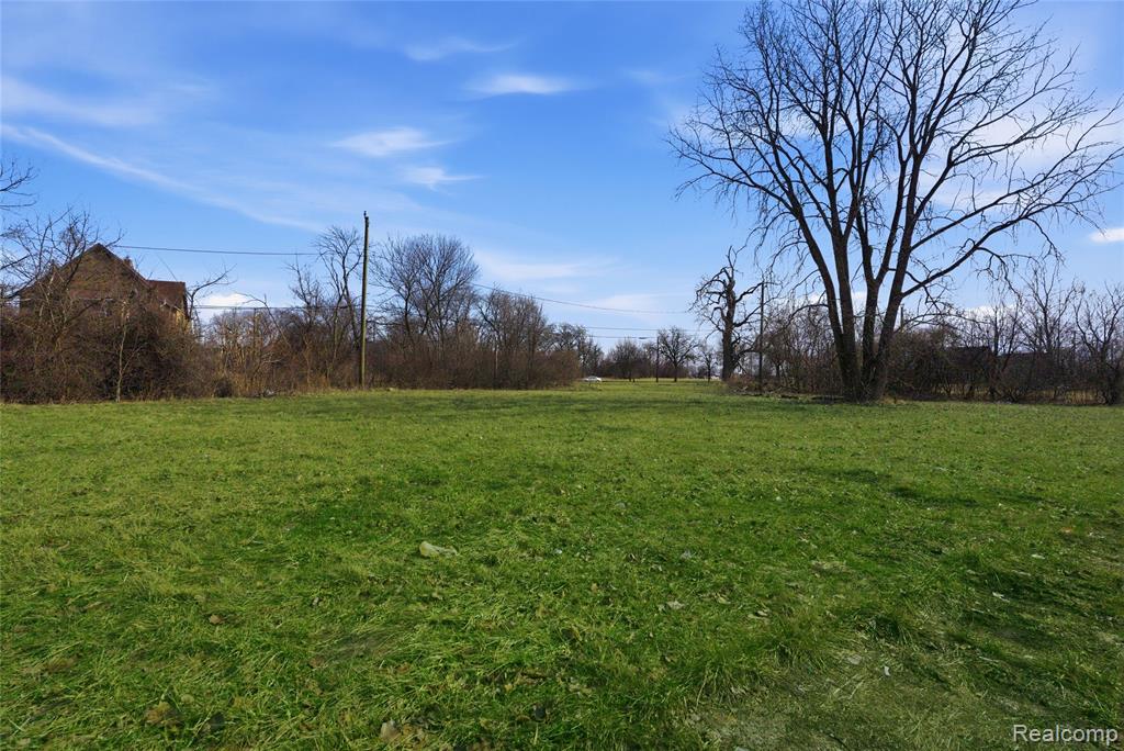 540 Concord Street, Detroit, MI 48207 — Photo 2
