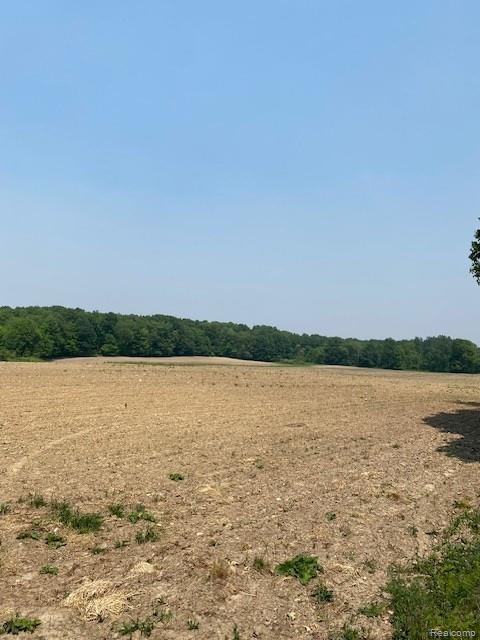 7451 Fostoria Road, Mayville Vlg, MI 48744 — Photo 24