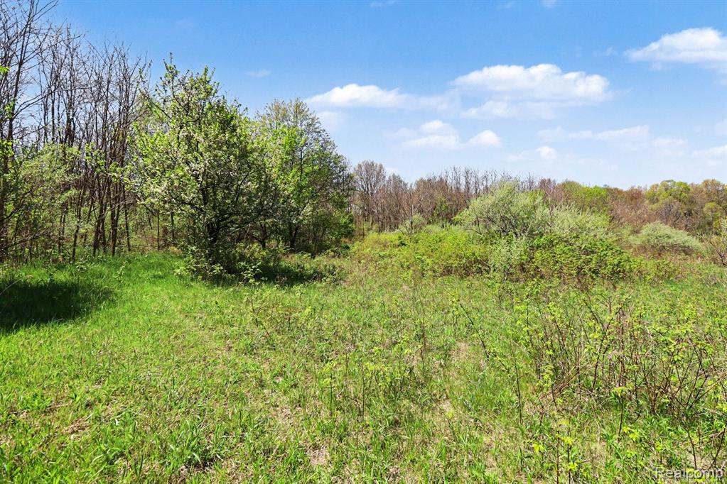 Parcel #3 Milford Rd, Holly, MI 48442 — Photo 5