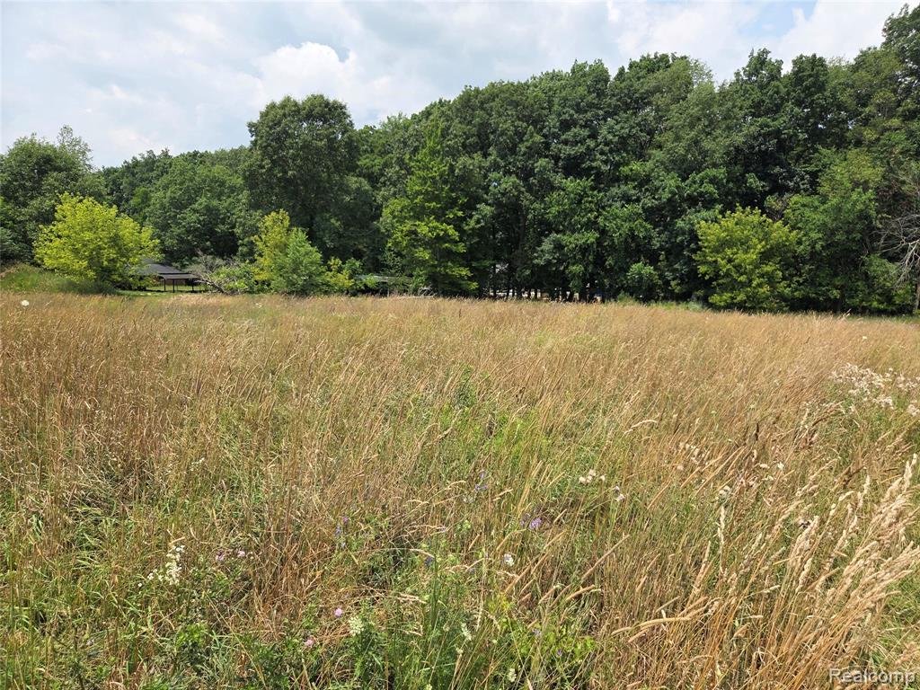 5800 parcel 2-C mack, Howell, MI 48843