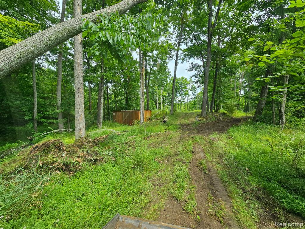 8600 Eagle Road, Holly, MI — Photo 3