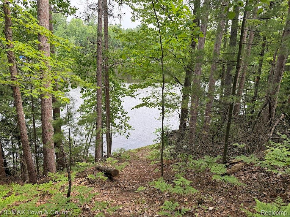 6450 Otter Trail Road, Alger, MI 48610 — Photo 10