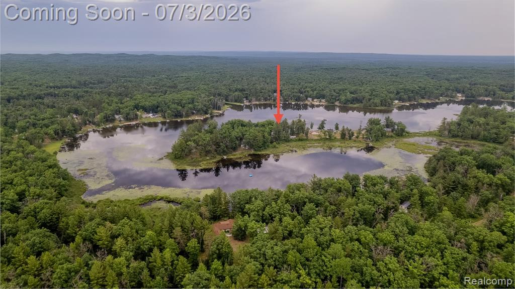8272 Paradise Drive, South Branch, MI 48761 — Photo 46