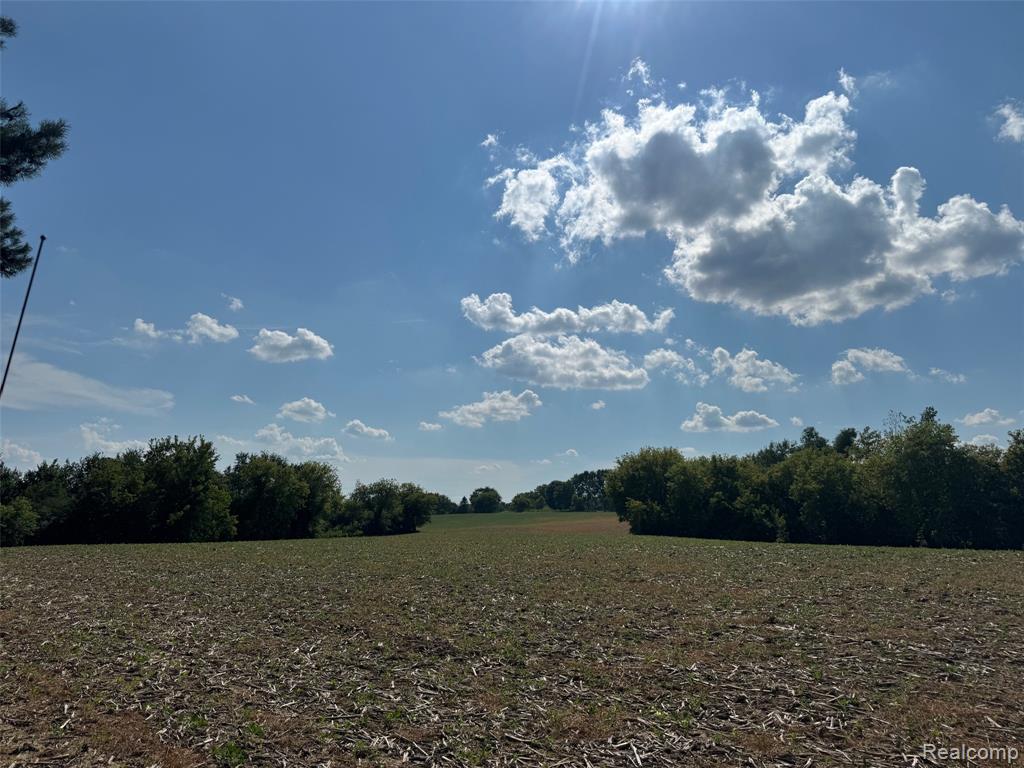 VL S Mill Road, Dryden, MI 48428 — Photo 5