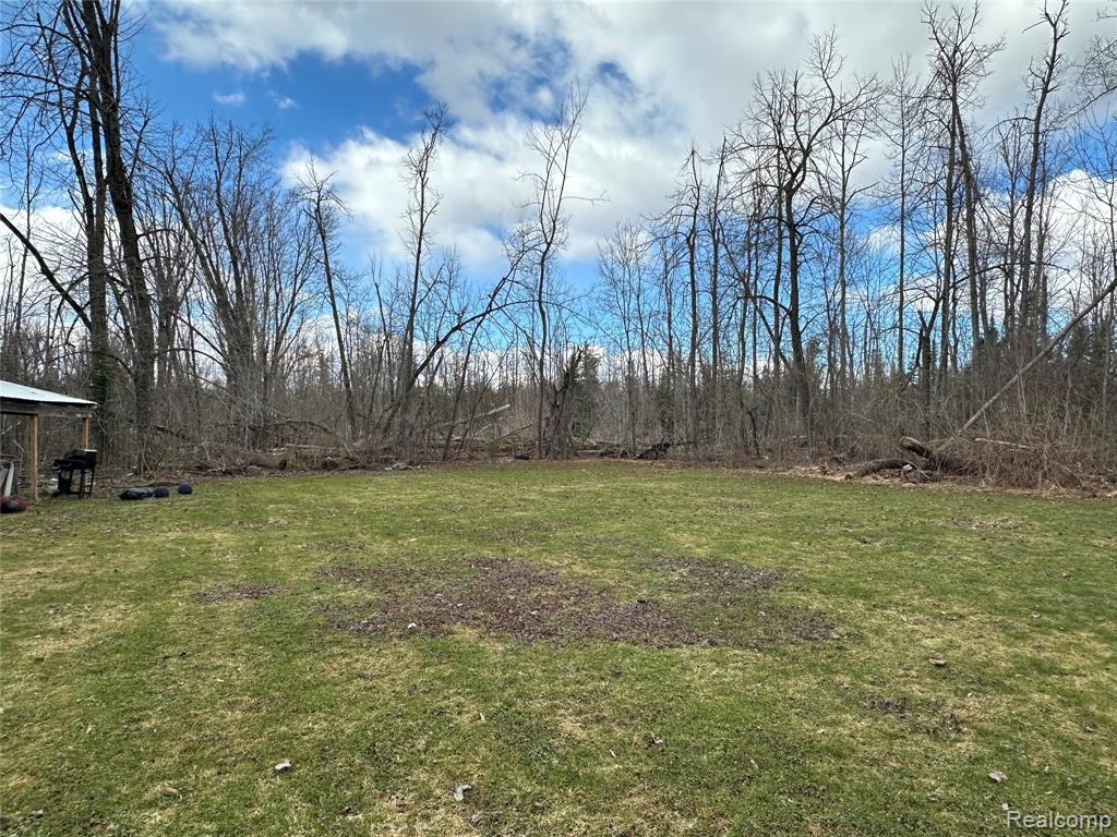 7726 Lake Street, Alanson, MI 49706 — Photo 63