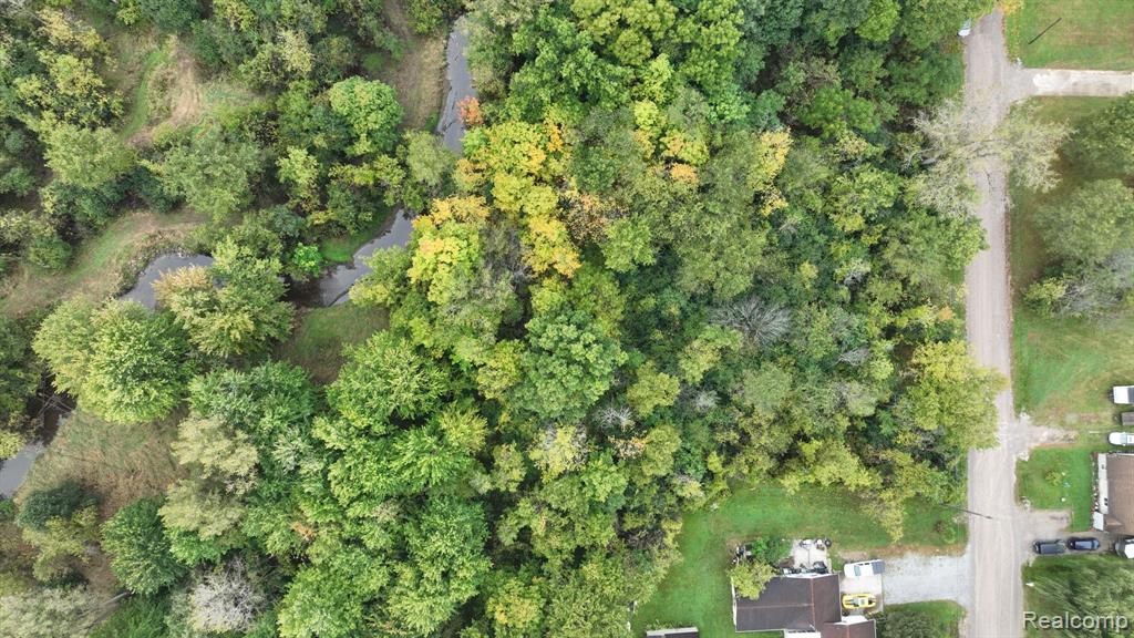 3 Esson Drive, Grand Blanc, MI 48439 — Photo 11