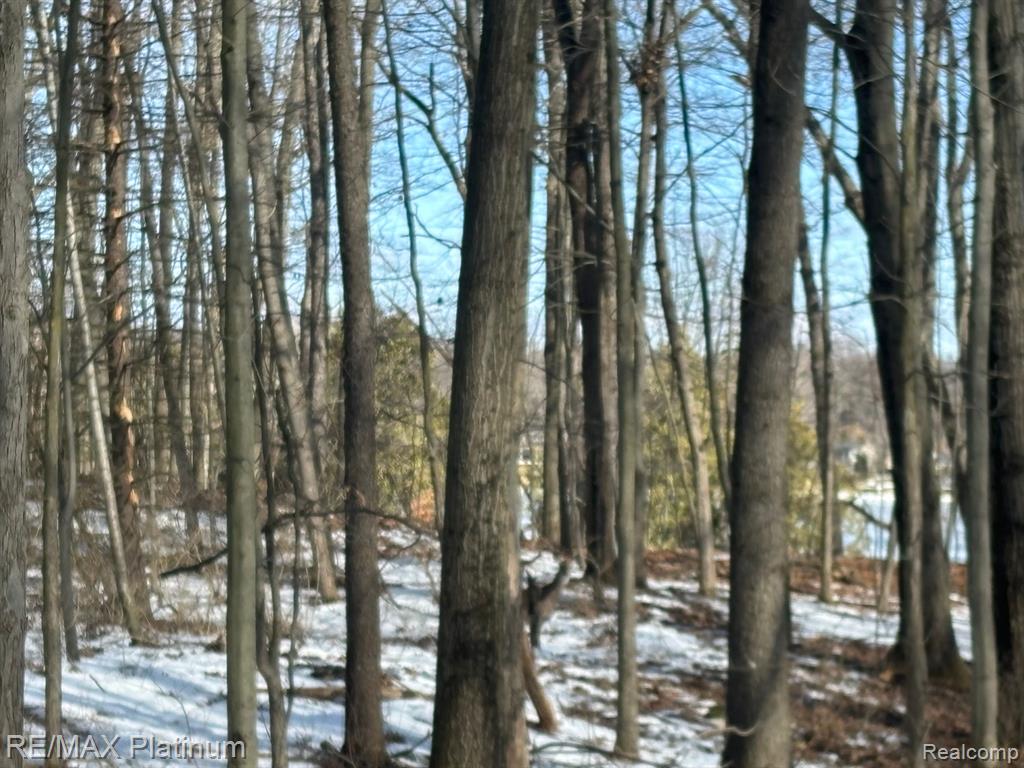 V/L TIPSICO LAKE ROAD, Holly, MI 48442 — Photo 12