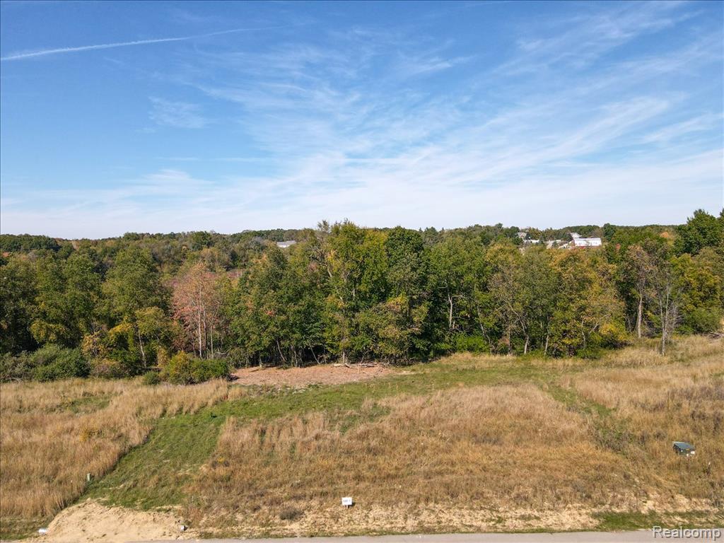 4070 Metamora Ridge, Metamora, MI 48455 — Photo 37
