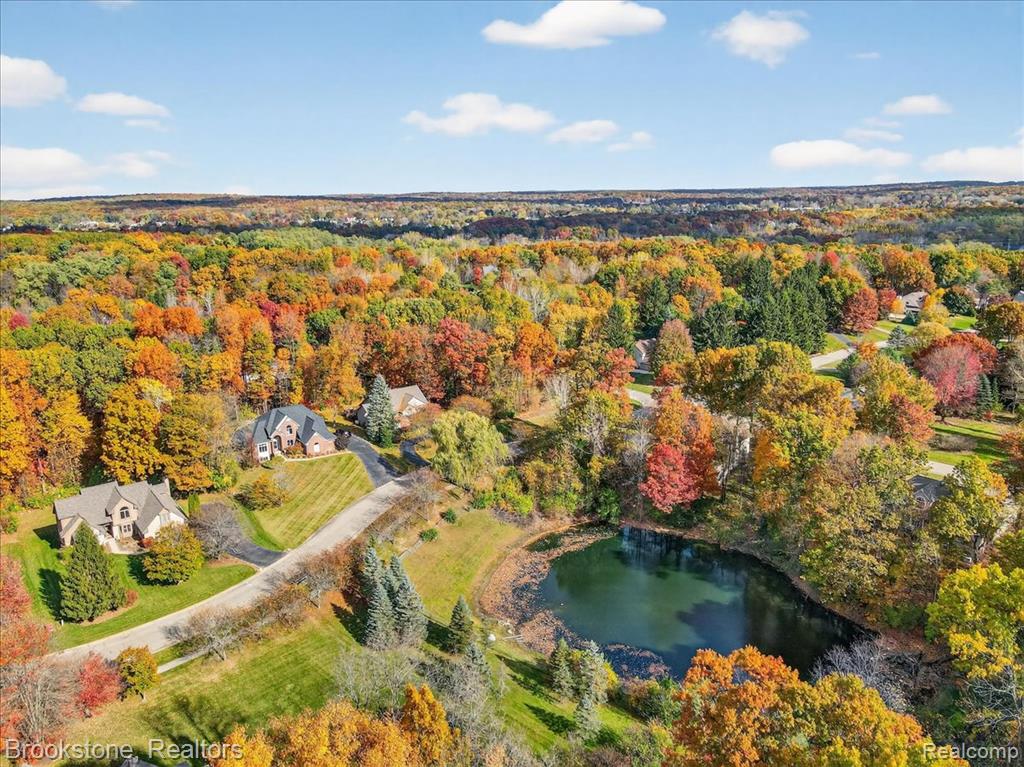 9748 Forest Ridge Drive, Clarkston, MI 48348 — Photo 11