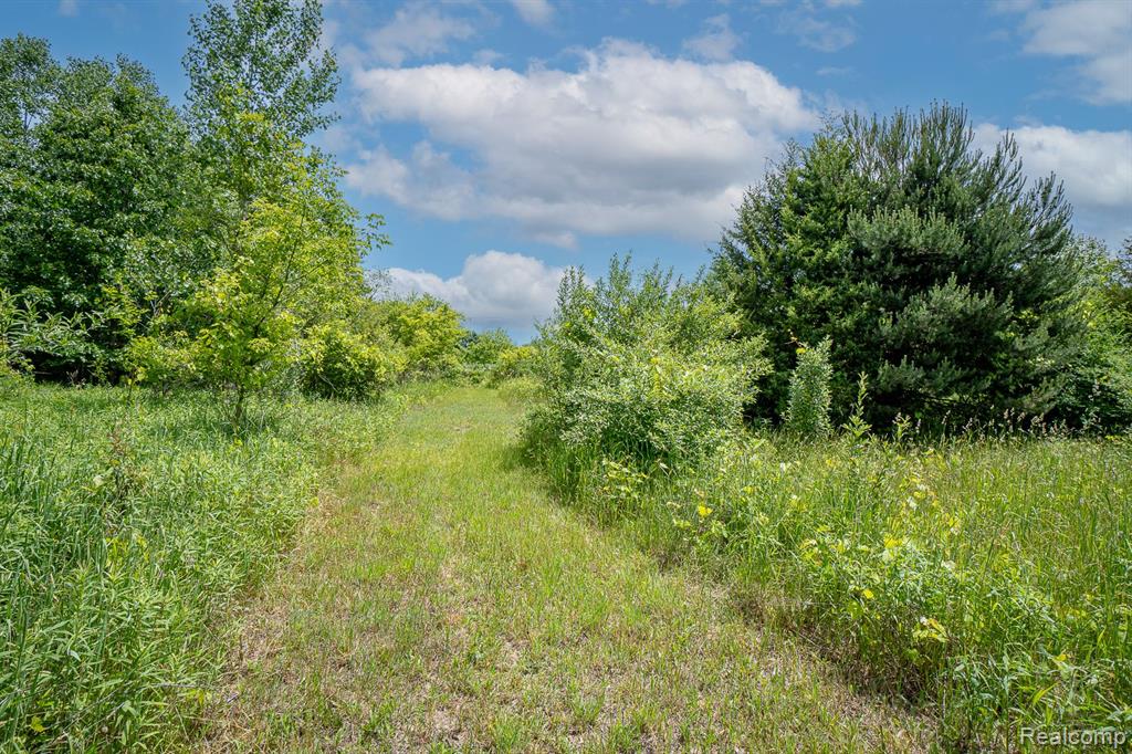VL Fosland Farms Drive, Jackson, MI 49201 — Photo 7