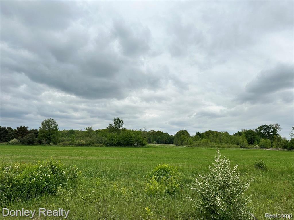 V/L Warner Road, MI 48729 — Photo 5