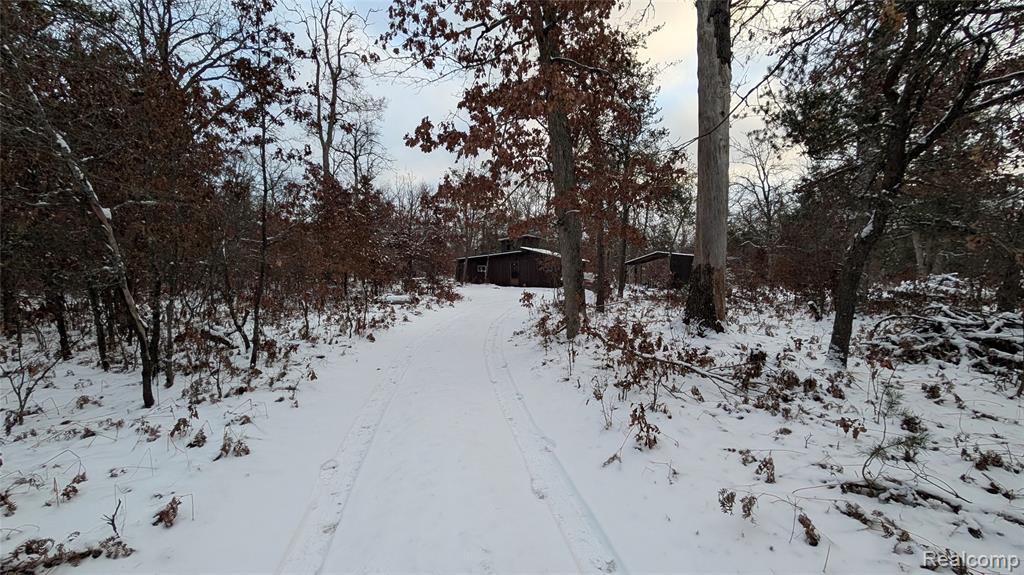 10270 S Queens Highway, Chase, MI 49623 — Photo 5