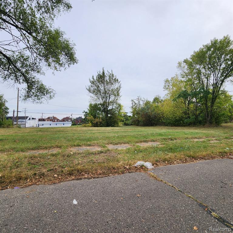 3751 LONGFELLOW Street, Detroit, MI 48206 — Photo 4