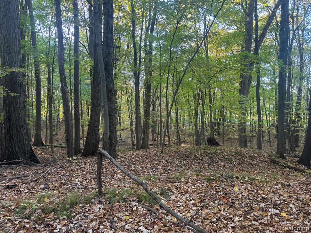 VL Rock Valley Road, Metamora, MI 48455 — Photo 7