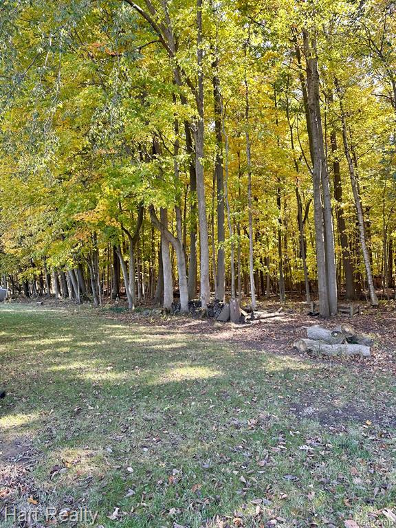 5102 BROWN Road, Kenockee, MI 48006 — Photo 24