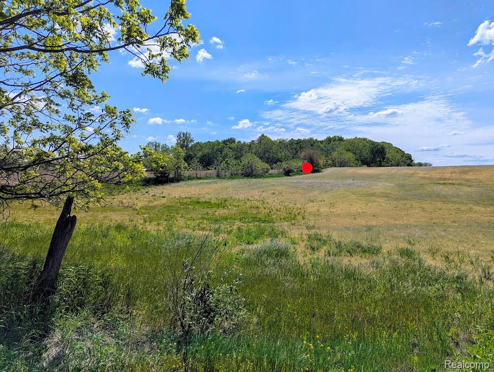 Parcel D - Hogan Road, Linden, MI 48451 — Photo 2