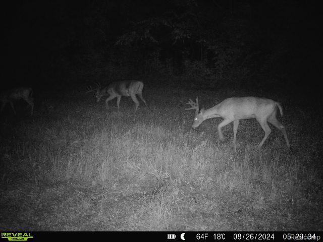 V/L BLAKE Road, Jackson, MI 49201 — Photo 85