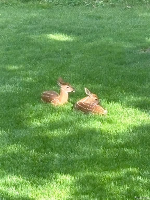 962 Hidden Valley Drive, Lake Orion, MI 48362 — Photo 37