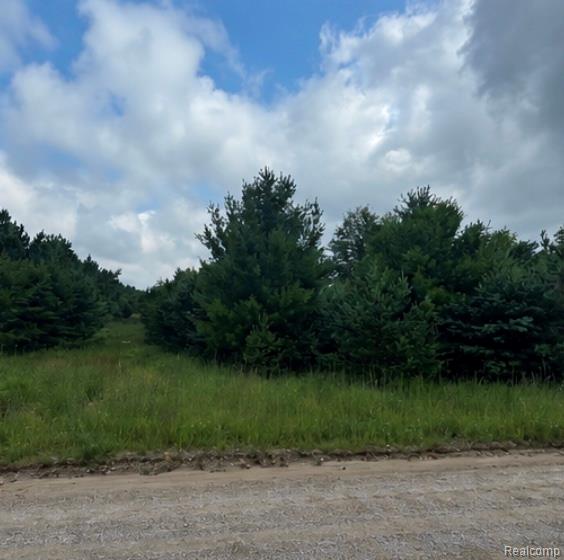 000 Fletcher Road, Roscommon, MI 48653