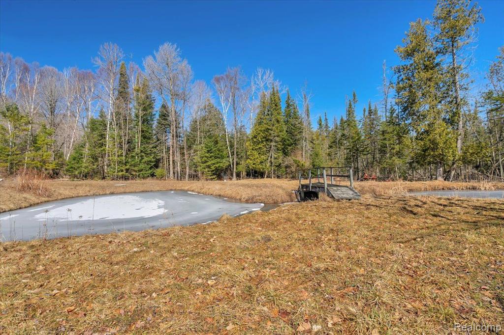 5300 E Alcona Road, Harrisville, MI 48740 — Photo 51
