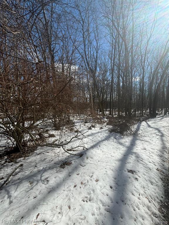 V/L TIPSICO LAKE ROAD, Holly, MI 48442 — Photo 5