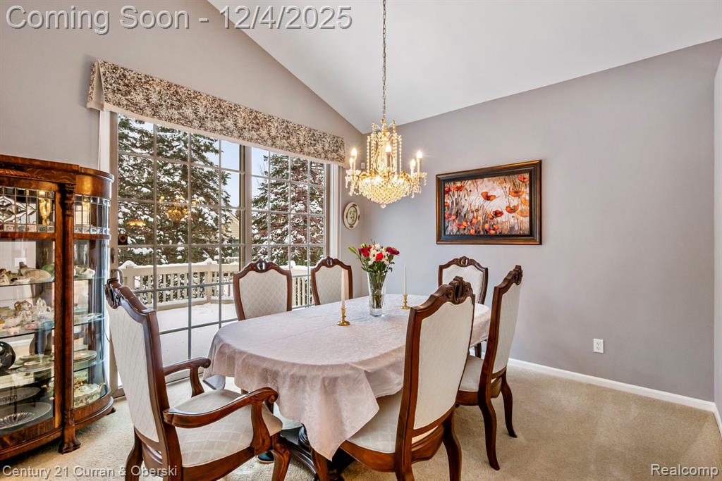 16925 Lochmoor Circle E, Northville, MI 48168 — Photo 15